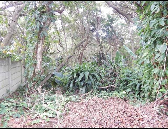 LAND FOR SALE IN GLENMORE